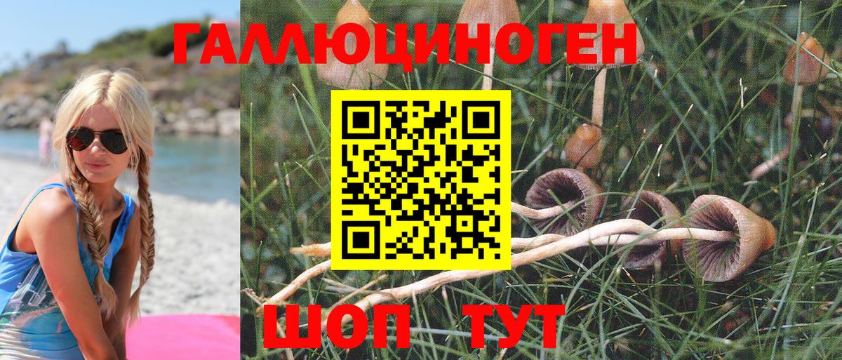 Галлюциногенные грибы Magic Shrooms Котельники